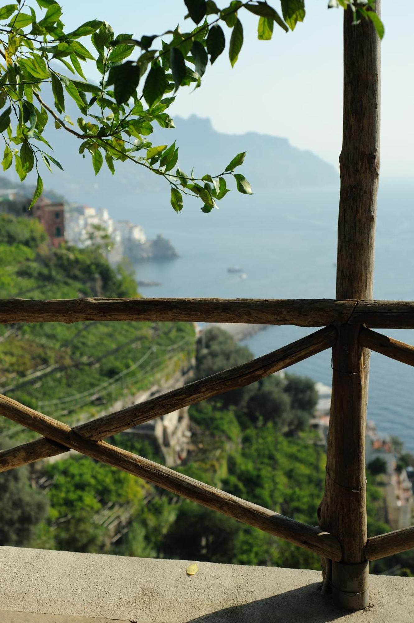 Rina Amalfi