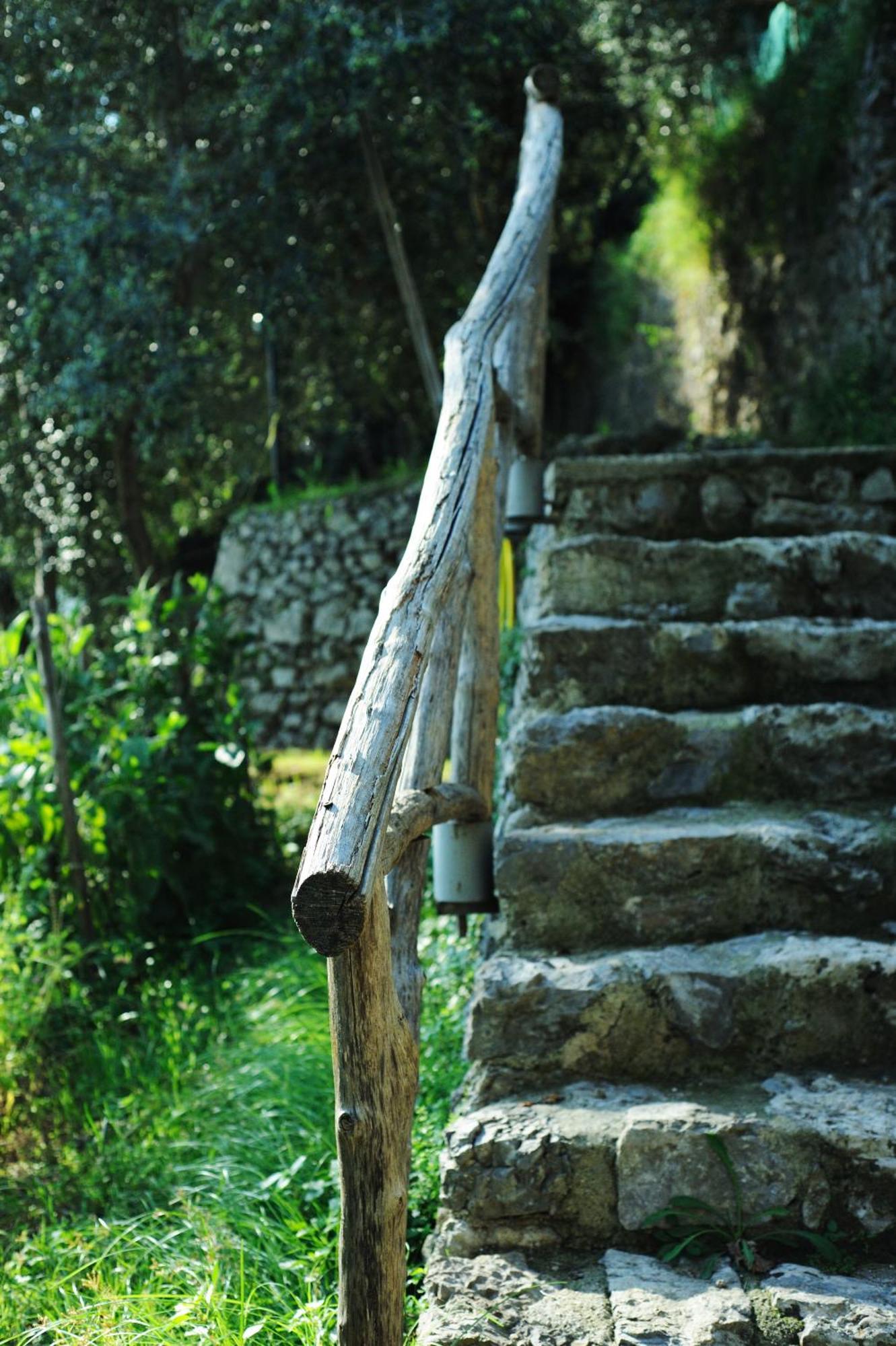 Rina Amalfi