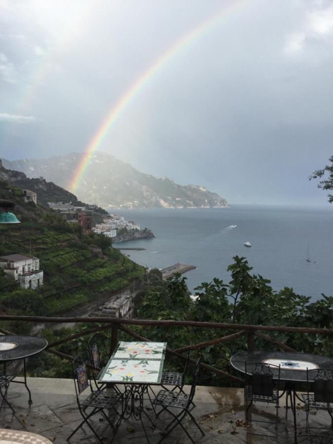 Rina Amalfi